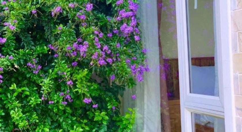 La Roza Dalat Boutique Hotel Dış mekan fotoğraf