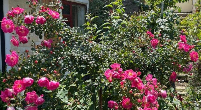 La Roza Dalat Boutique Hotel Dış mekan fotoğraf